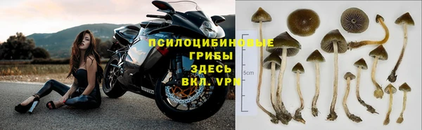 ГАЛЛЮЦИНОГЕННЫЕ ГРИБЫ Верхний Тагил
