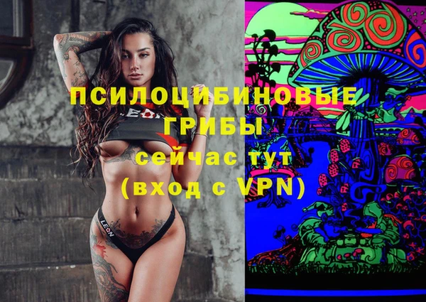ГАЛЛЮЦИНОГЕННЫЕ ГРИБЫ Верхний Тагил