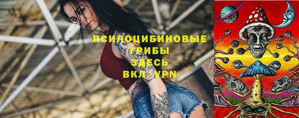 ГАЛЛЮЦИНОГЕННЫЕ ГРИБЫ Верхний Тагил
