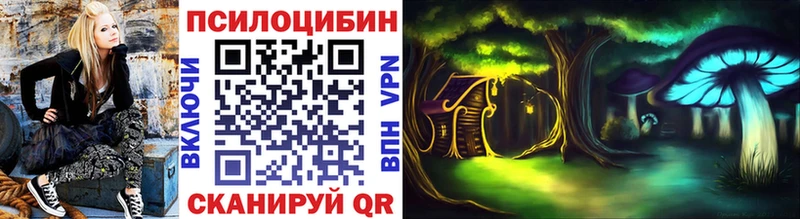 hydra как зайти  Кизилюрт  Псилоцибиновые грибы Psilocybine cubensis 